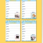 Ao 9789464323726 Rh Cats Weekkalender