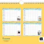 Ao 9789464323887 Racheal Hale Cats Familieplanner