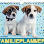 Vp 9789464323870 Racheal Hale Dogs Familieplanner