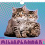 Vp 9789464325645 Fp2024 Rachaelhale Cats Cover
