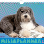 Vp 9789464325652 Fp2024 Rachaelhale Dogs Cover